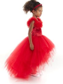 Red Velvet Tulle Dress