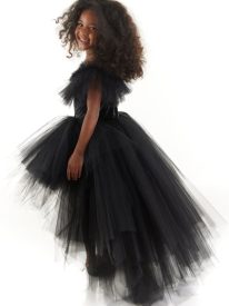 Black Swan Tulle Dress