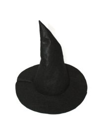 Basic Witch & Wizard Hat