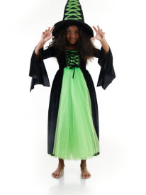 Velvet Witch Costume Dress
